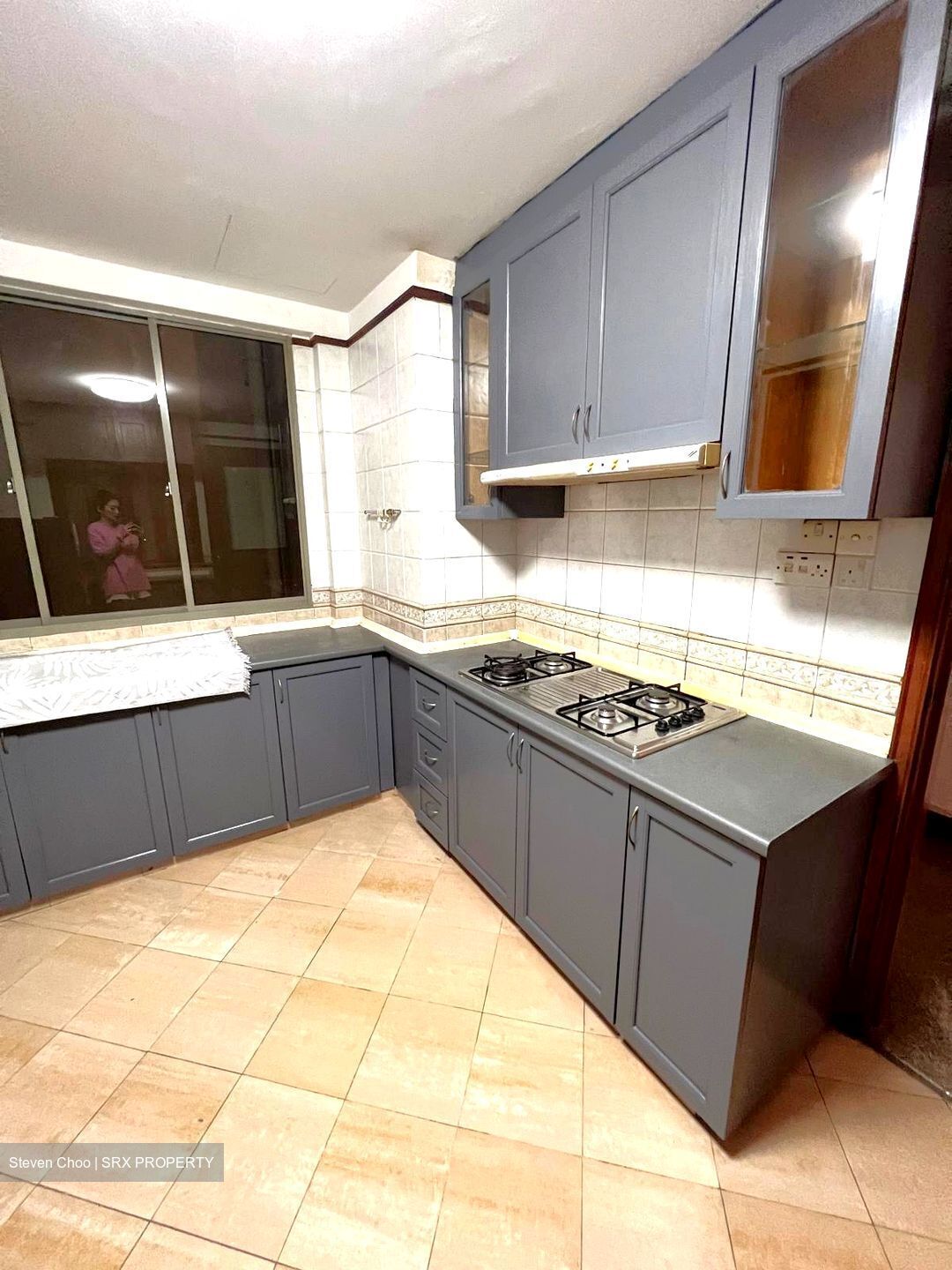 Parc Vista (D22), Condominium #558523441